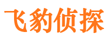 阿瓦提市调查公司